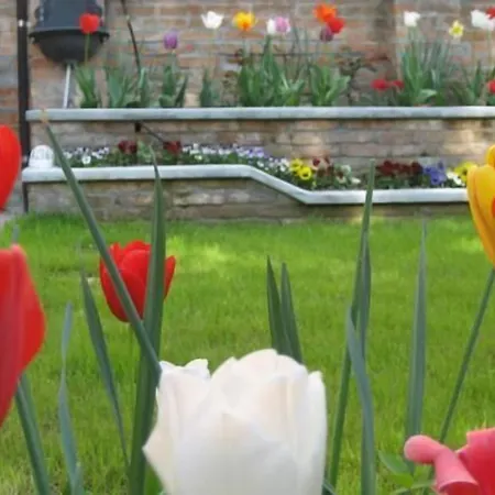 Bed & Breakfast Casa Delle Rose Lido Venezia Venetië-Lido