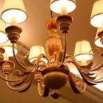 Casa Delle Rose Lido Venezia Bed & Breakfast 4*