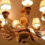 B&B Casa Delle Rose Venice Lido 베니스-리도