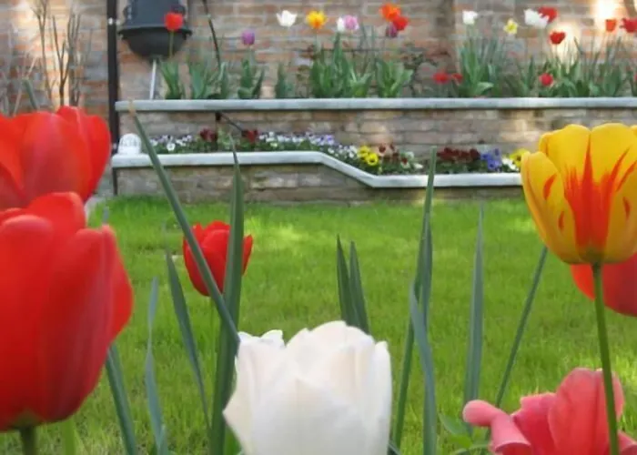 Alojamento de Acomodação e Pequeno-almoço Casa Delle Rose Venice Lido Lido di Venezia