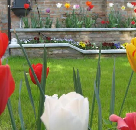 Casa Delle Rose Lido Venezia 2*